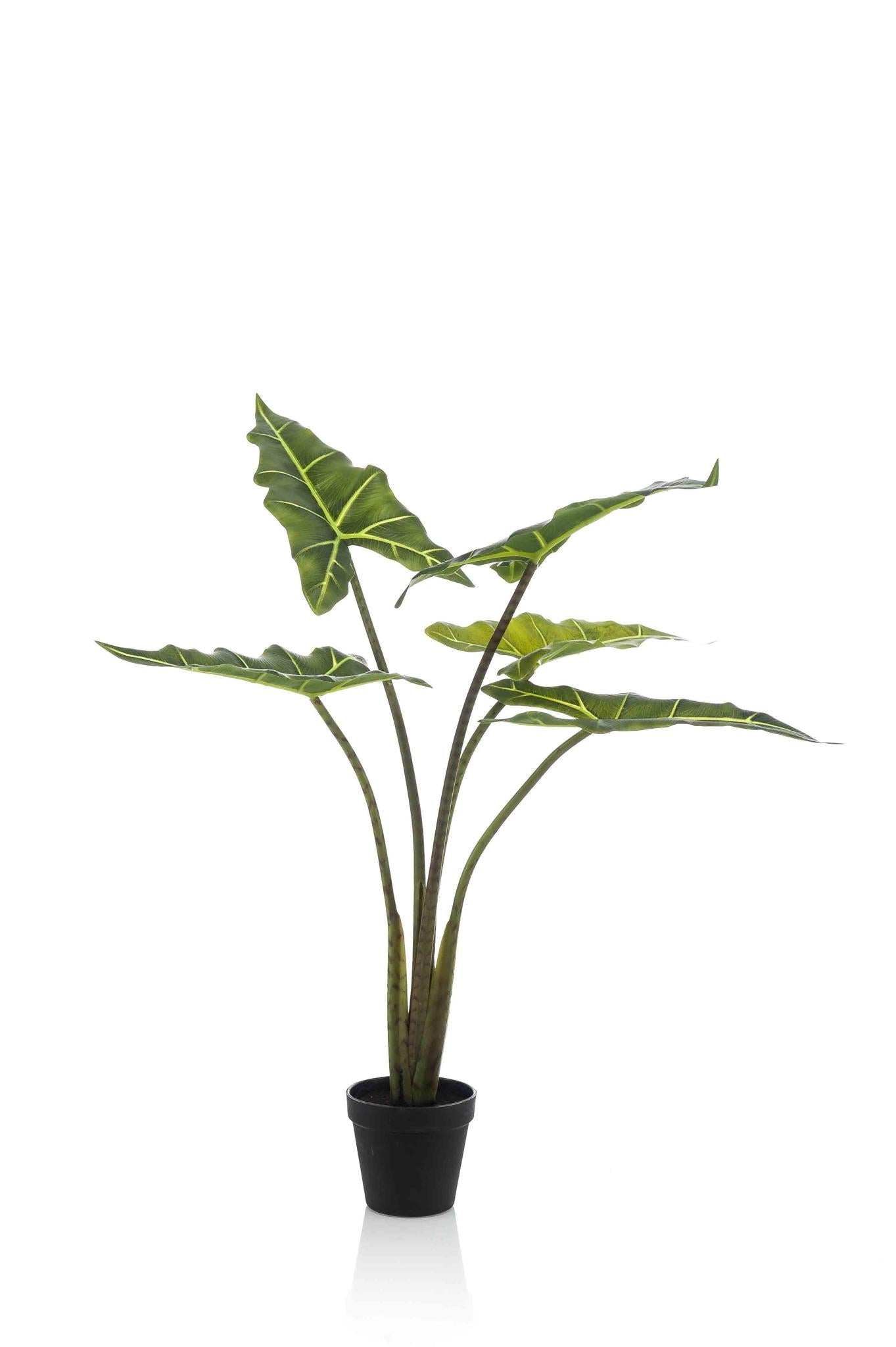 Planta artificial - Alocasia Frydek - Planta oreja de elefante - 80 cm