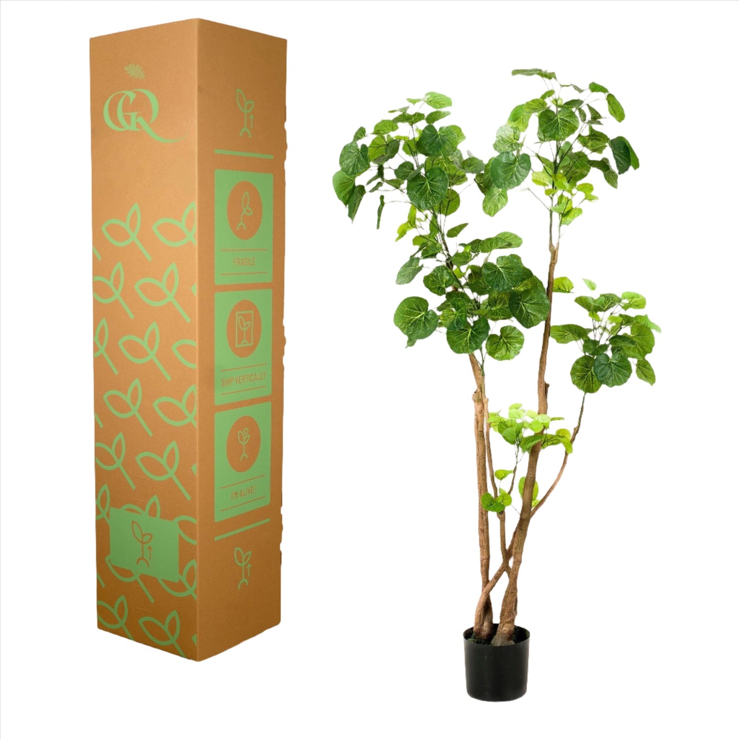 Artificial Plant - Polyscias - Aralia - 140 cm