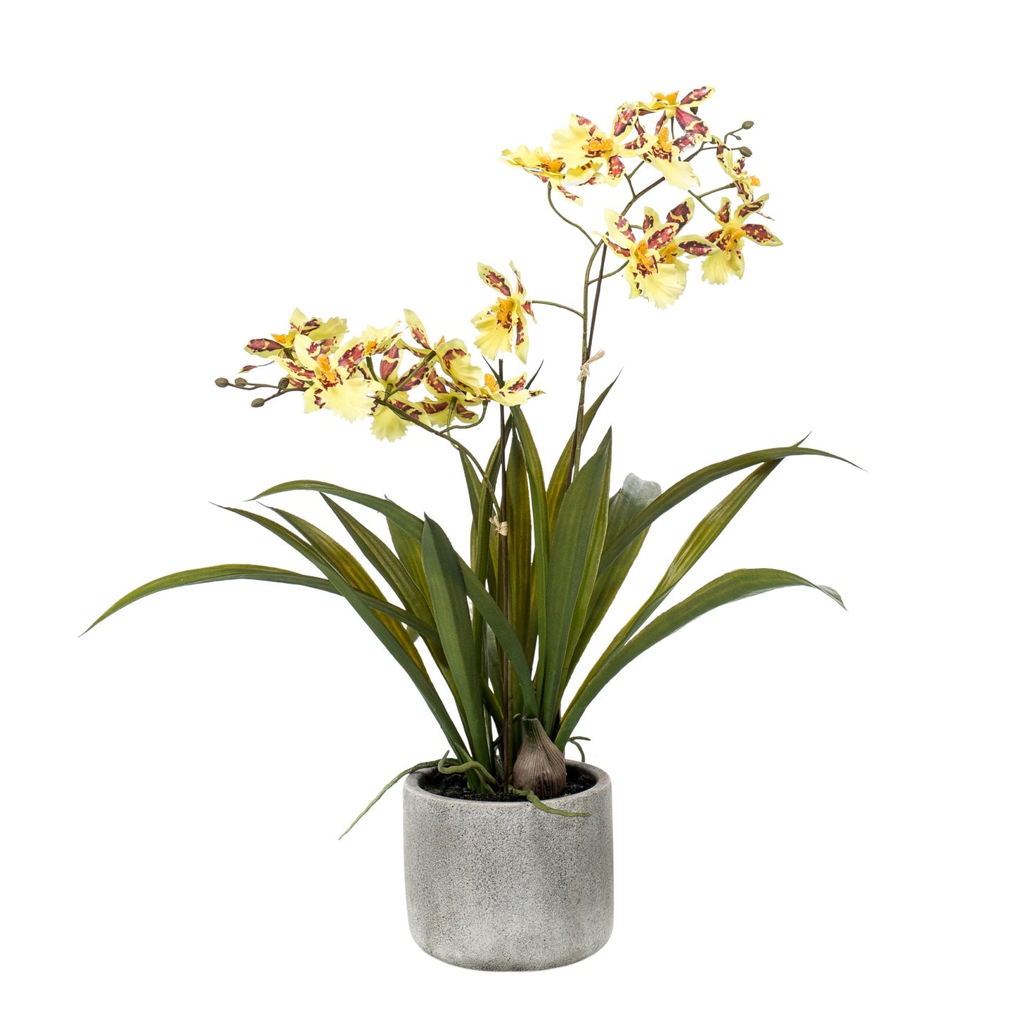 Planta de orquídea artificial - Amarilla - 45cm