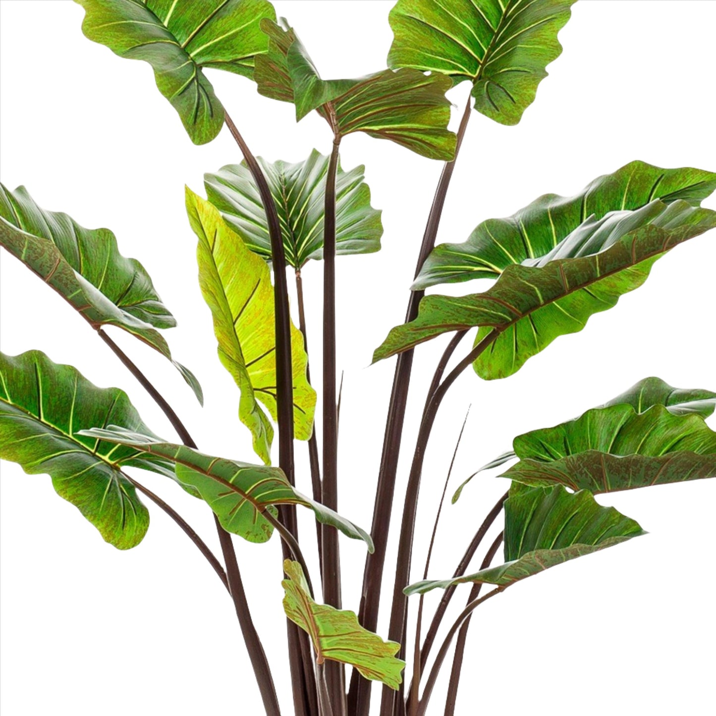 Artificial Plant - Colocasia Pink China - 130 cm