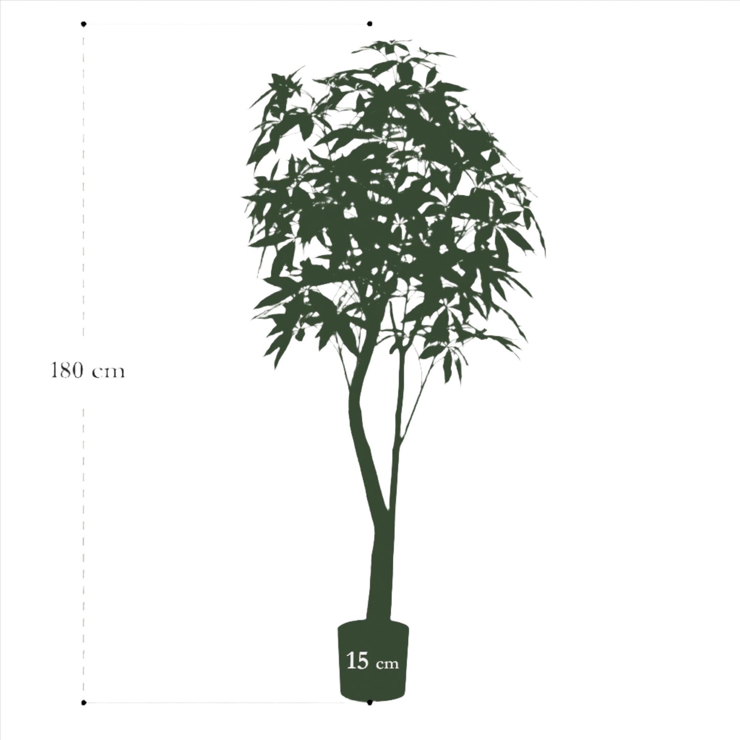 Artificial Tree - Pachira Aquatica - Money Tree - 150 cm up to 180 cm