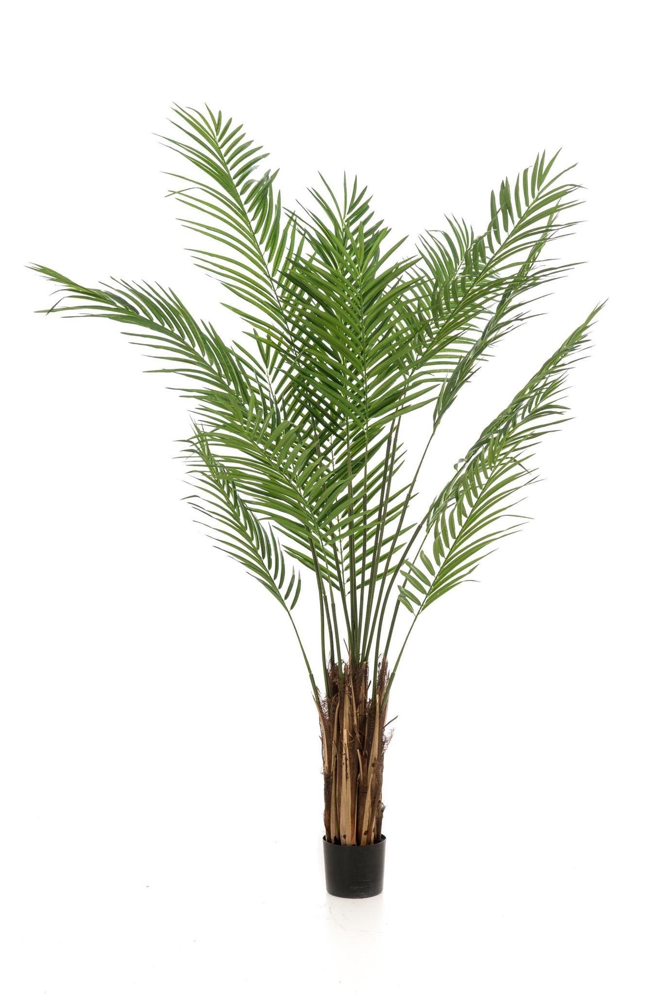 Artificial Tree - Areca Lutescens - Gold palm - 180 cm