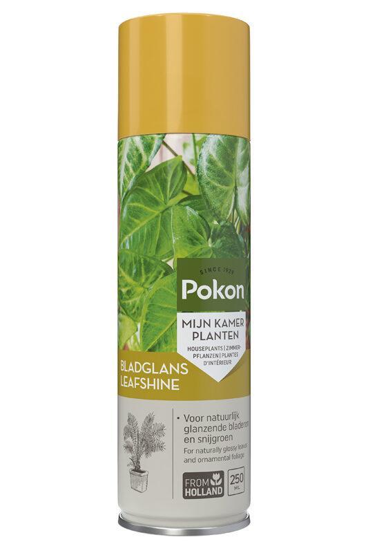 Brillo Pokon Leaf 250 ml