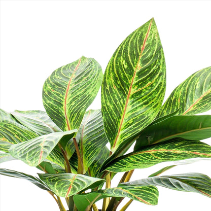 Planta artificial - Croton Codiaeum - Wonder Bush - 38 cm