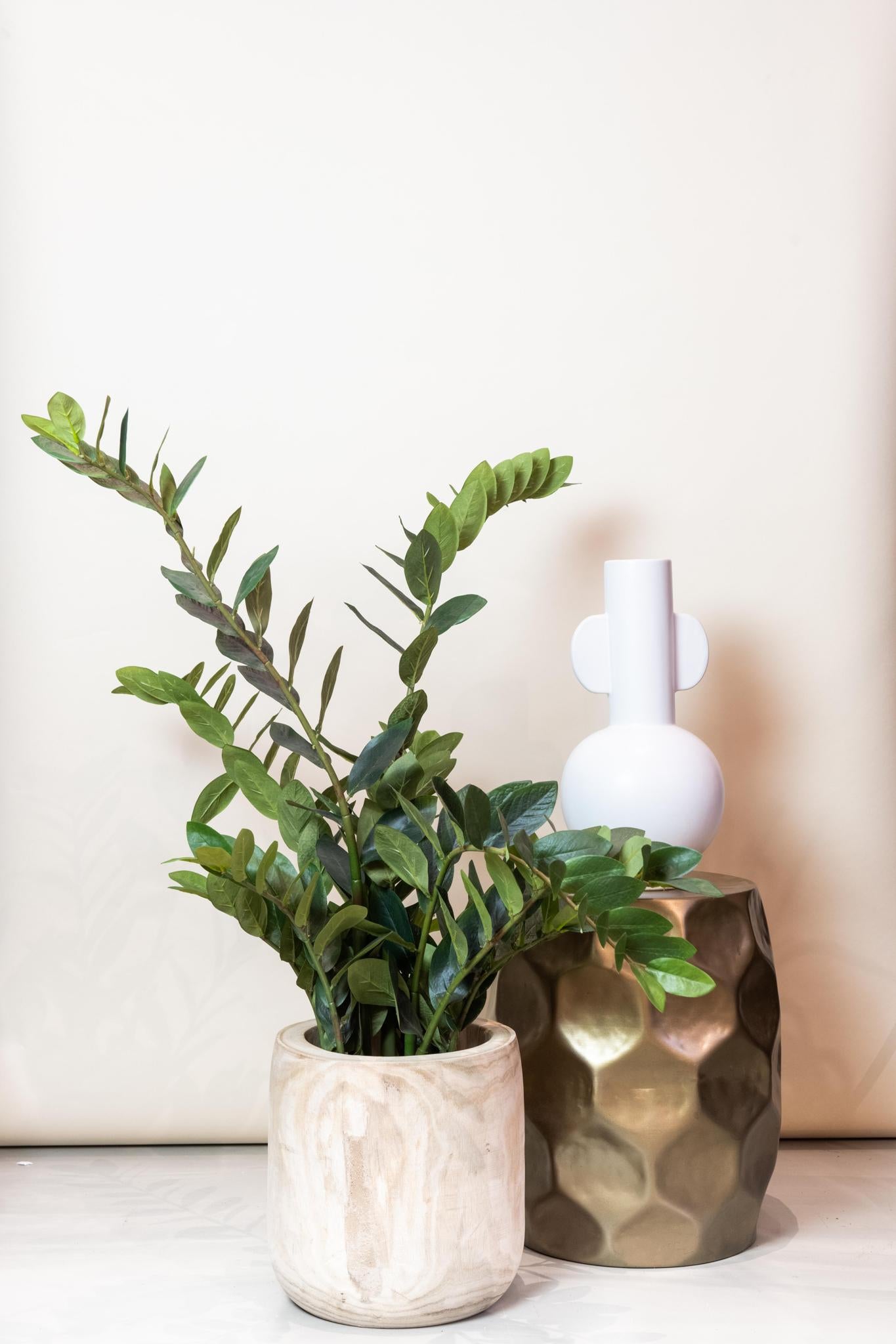 Artificial Plant - Zamioculcas - House Palm - 110 cm