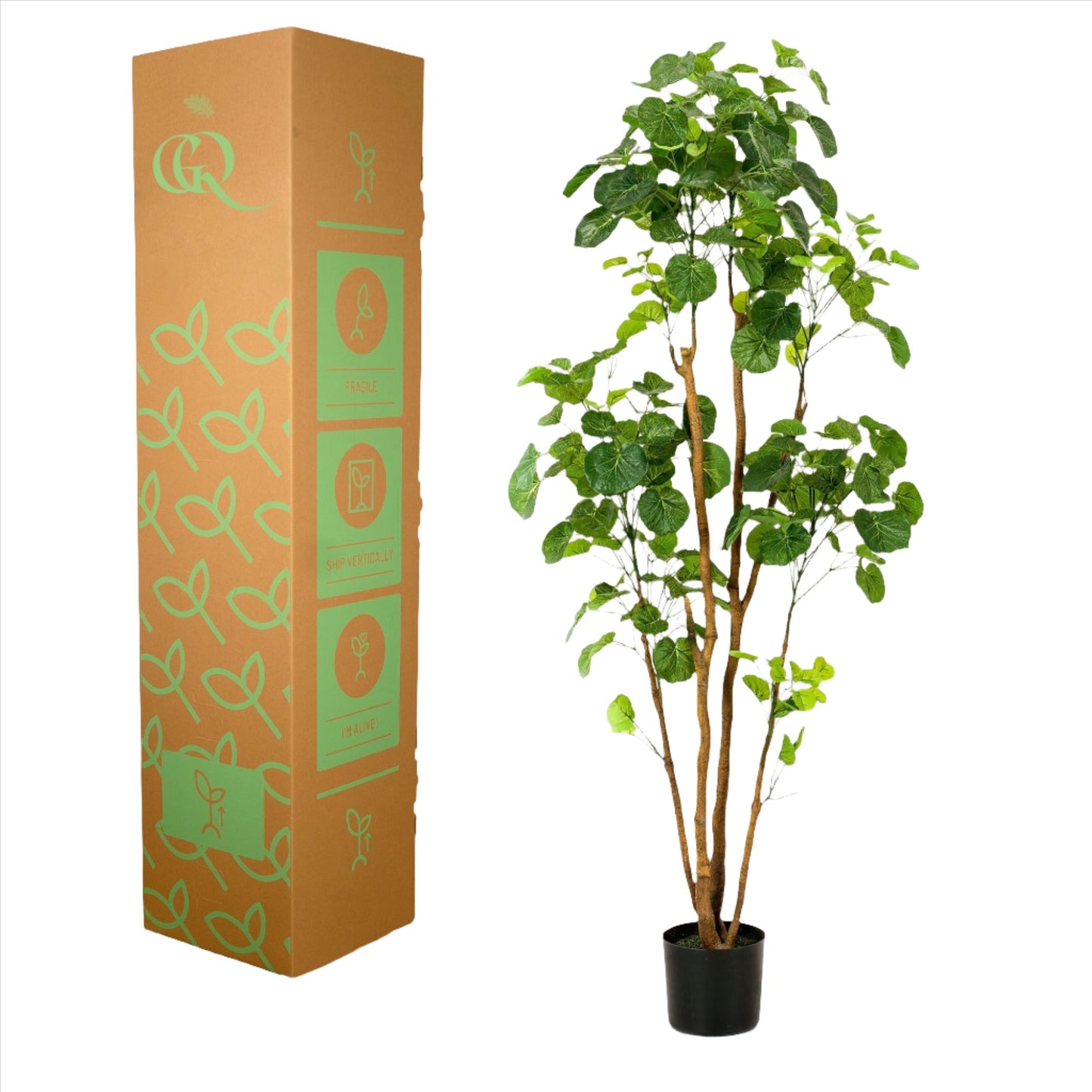 Artificial Plant - Polyscias - Aralia - 160 cm