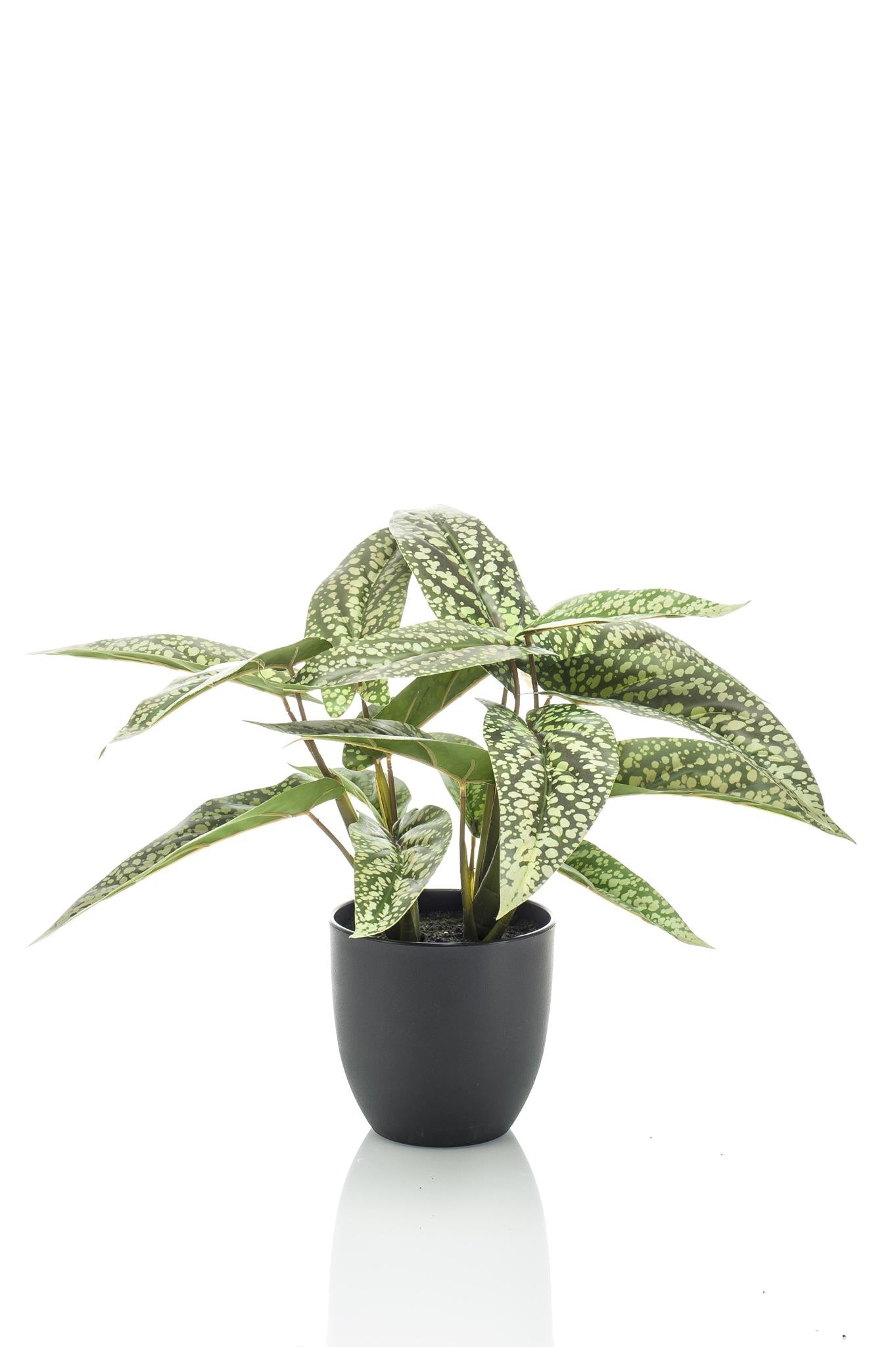 Artificial Plant - Calathea Dots - Schadow Plant - 38 cm