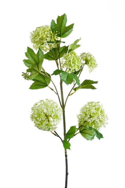 Flores artificiales Viburnum Opulus Solo en ramas - Crema - 75 cm