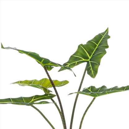 Planta artificial - Alocasia Frydek - Planta oreja de elefante - 80 cm