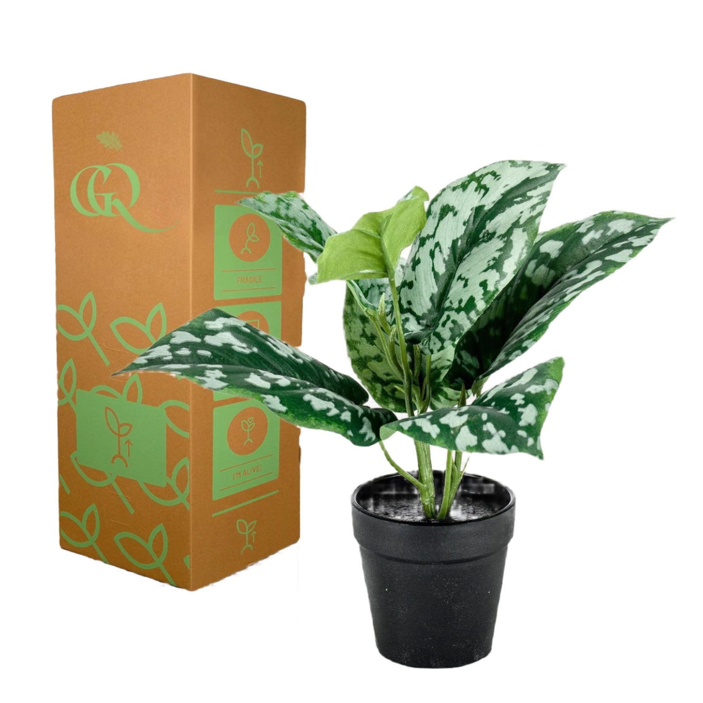 Artificial Plants - Scindapsus Pictus - Lucky plant - 30 cm