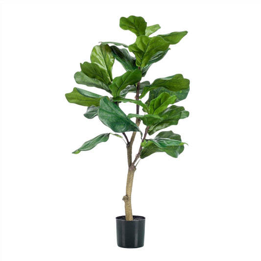 Artificial Tree - Ficus Lyrata - Tabacco Tree - 100 cm up to 180 cm