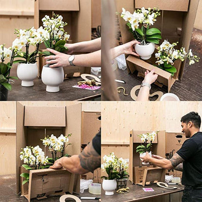 Conjunto de plantas blancas en cesta de juncos - Orquídeas Lausanne + Plantas verdes con depósito de agua