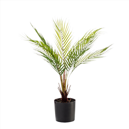 Artificial Plant - Chamaedorea Elegans - Berg Palm - 50 cm up to 85 cm