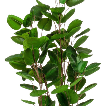 Artificial plant - Polyscias - Aralia - 105 cm