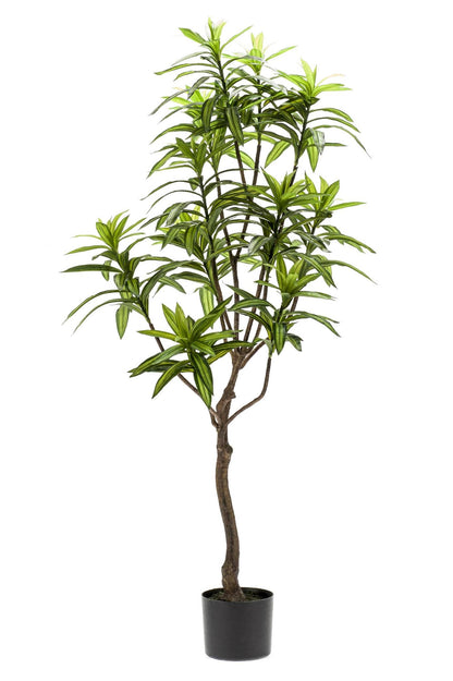 Artificial Tree - Dracaena - Dragon Tree - 130 cm up to 155 cm