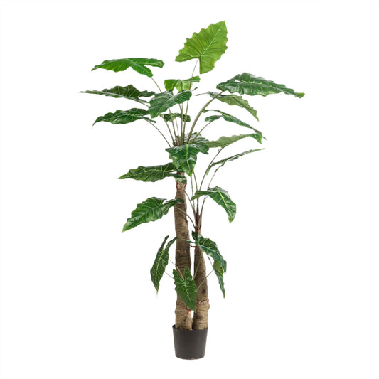 Kunstplant - Alocasia - Olifantsoorplant - 180 cm