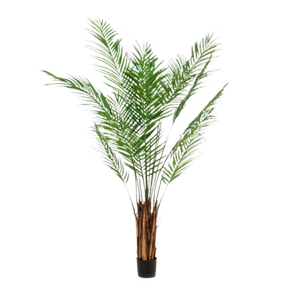 Artificial Tree - Areca Lutescens - Gold palm - 180 cm