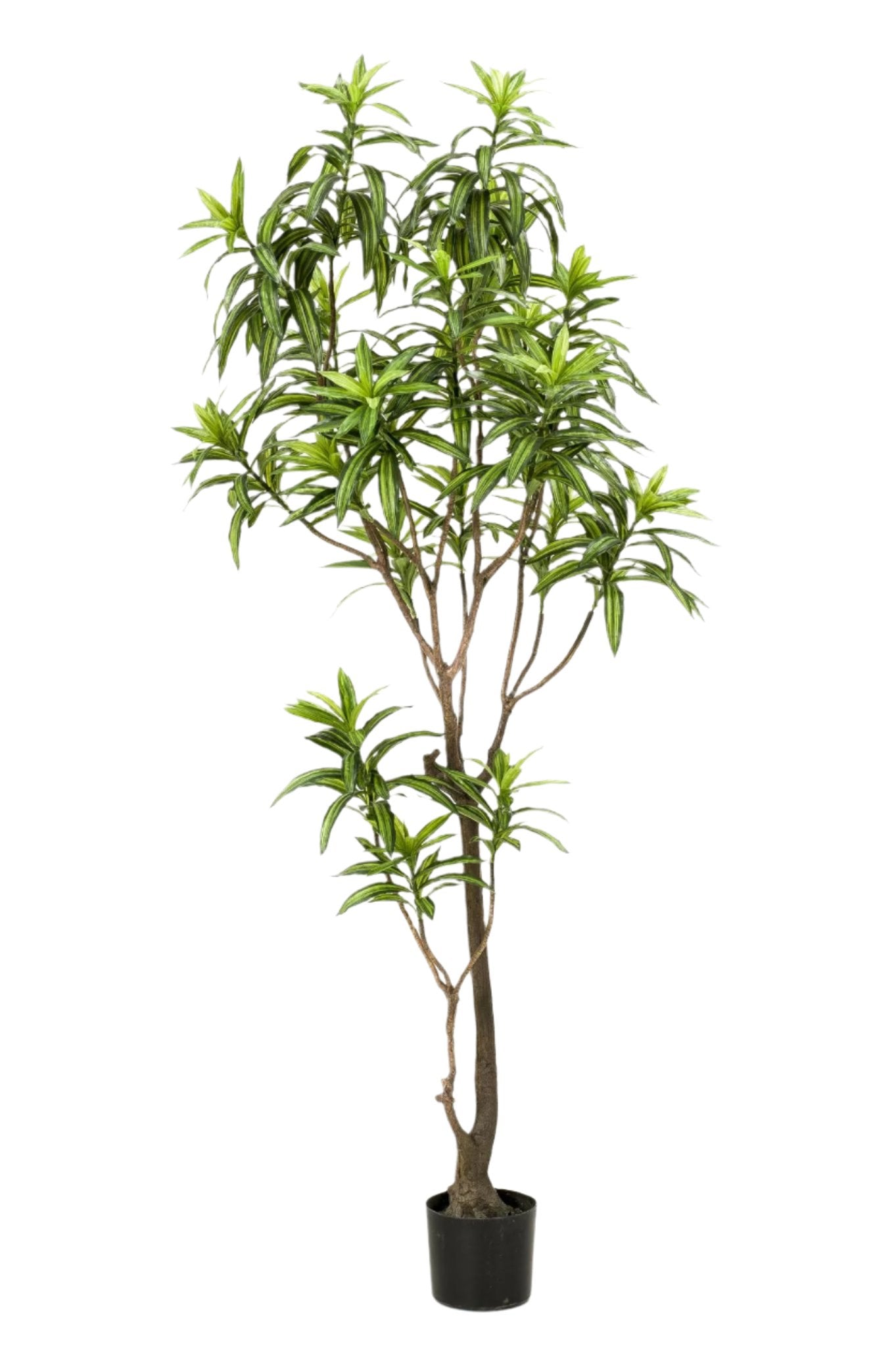 Artificial Tree - Dracaena - Dragon tree - 190 cm