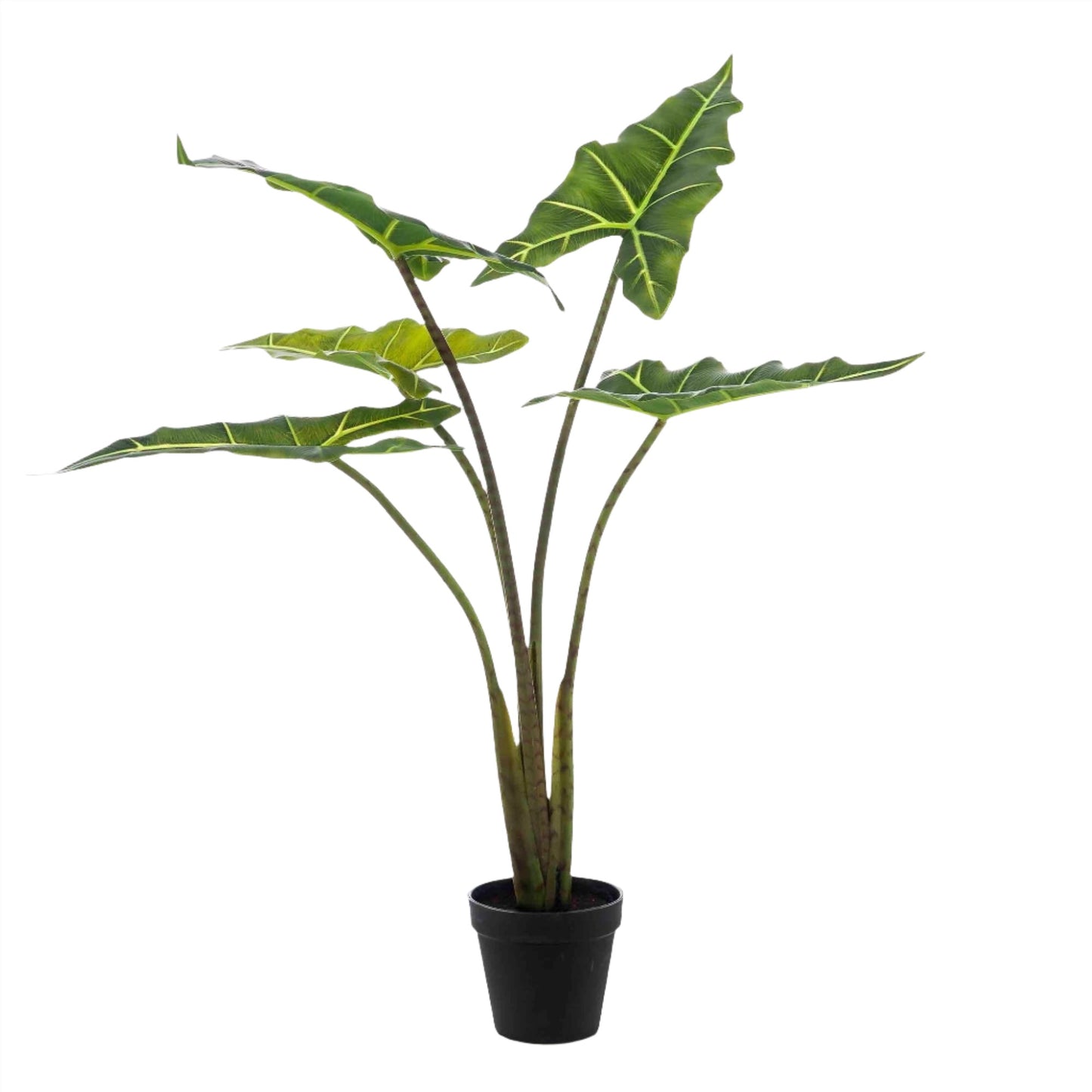 Planta artificial - Alocasia Frydek - Planta oreja de elefante - 80 cm