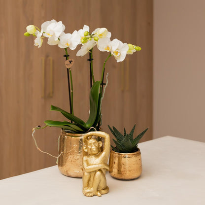 Luxe Gouden Keramische Decoratieve Pot - Maat 6cm