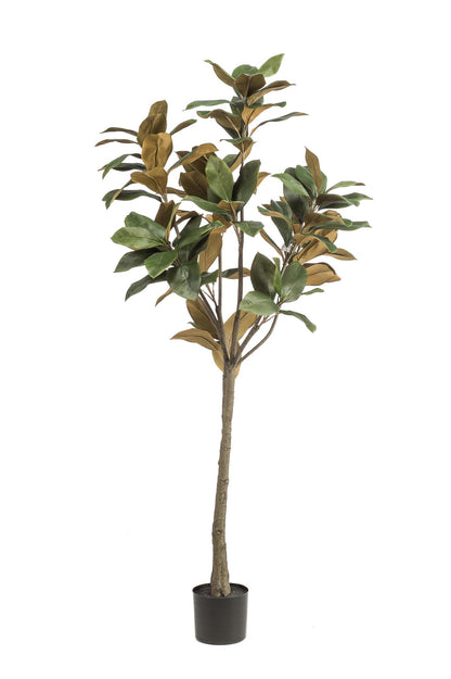 Árbol de magnolia artificial Grandiflora - 150 cm