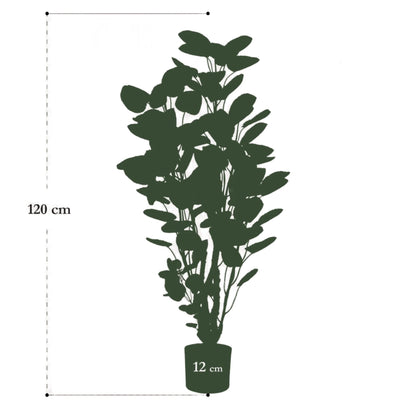 Artificial plant - Polyscias - Aralia - 105 cm