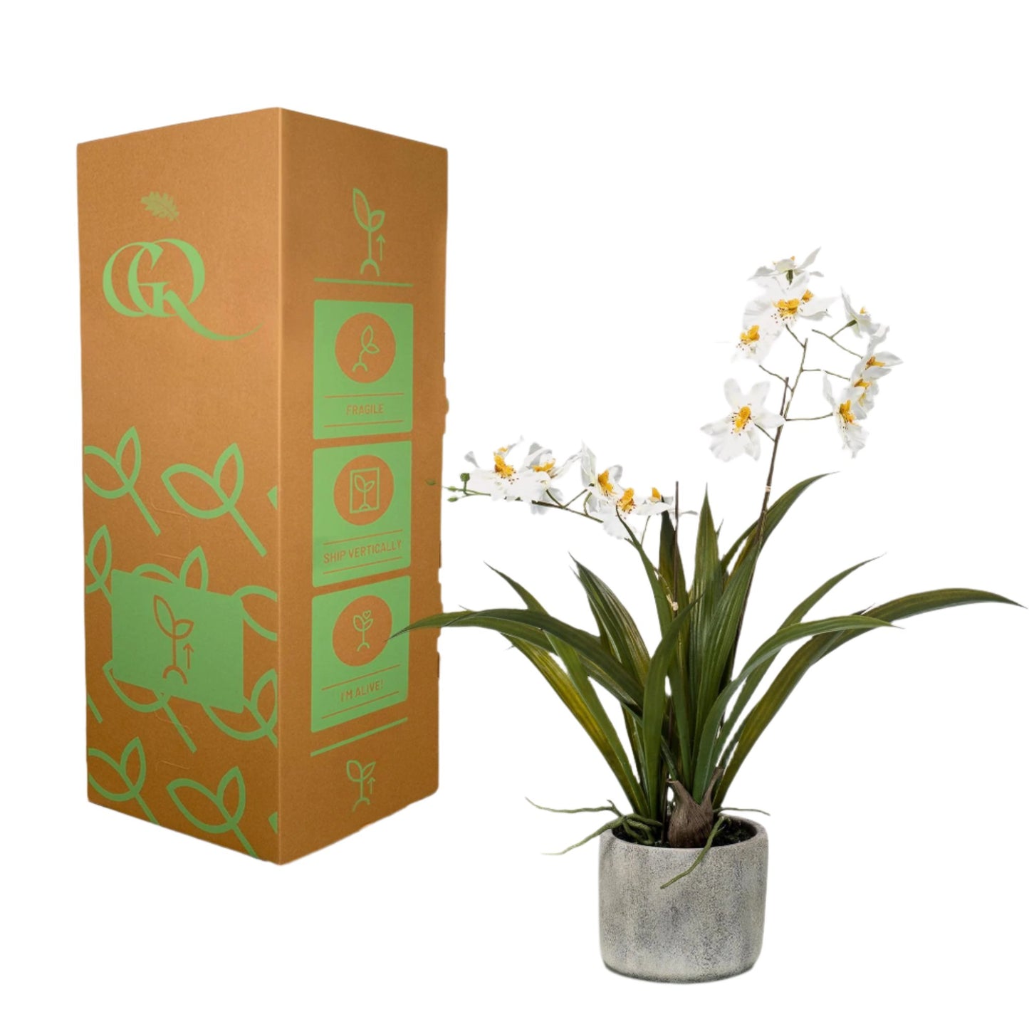 Artificial Orchid Plant - White - 45cm