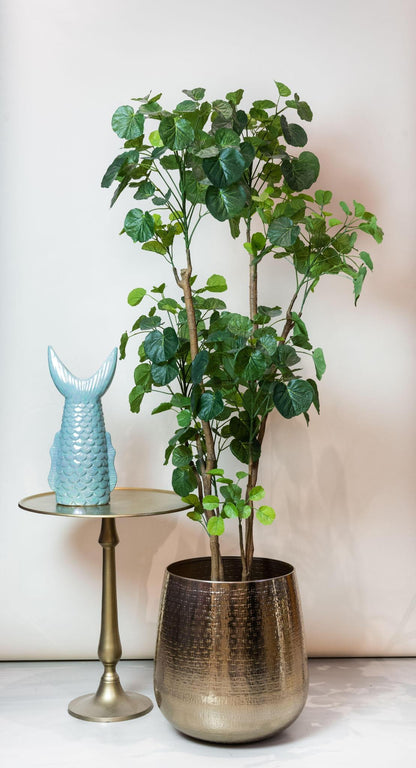 Artificial Plant - Polyscias - Aralia - 160 cm