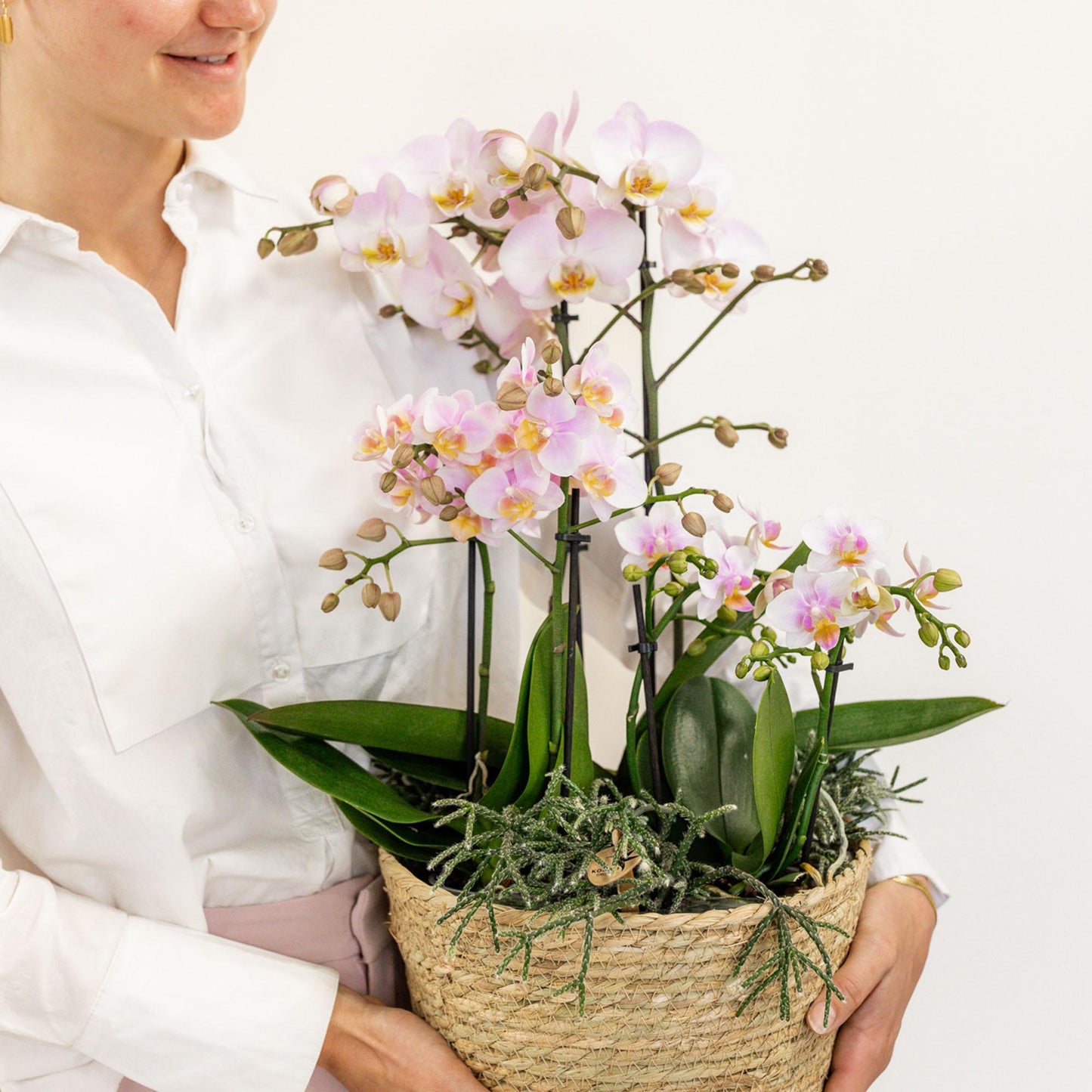 Pink Flowers Set in Cotton Basket incl. water reservoir - 3 Pink Orchids and 3 plants