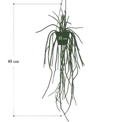 Planta artificial Rhypsalis - Cactus coral - 85 cm