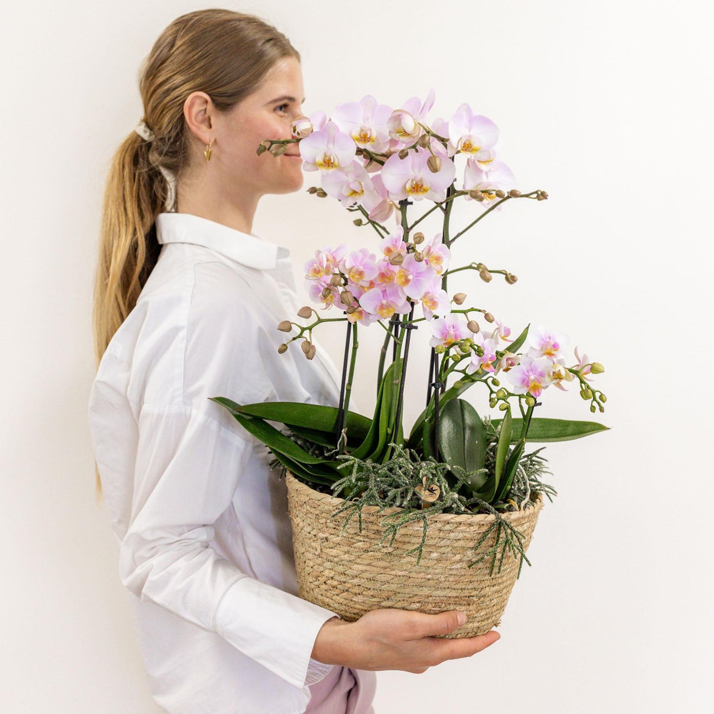 Pink Flowers Set in Cotton Basket incl. water reservoir - 3 Pink Orchids and 3 plants