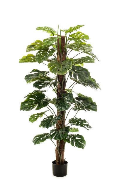 Artificial Plant - Monstera Deliciosa - 150 cm