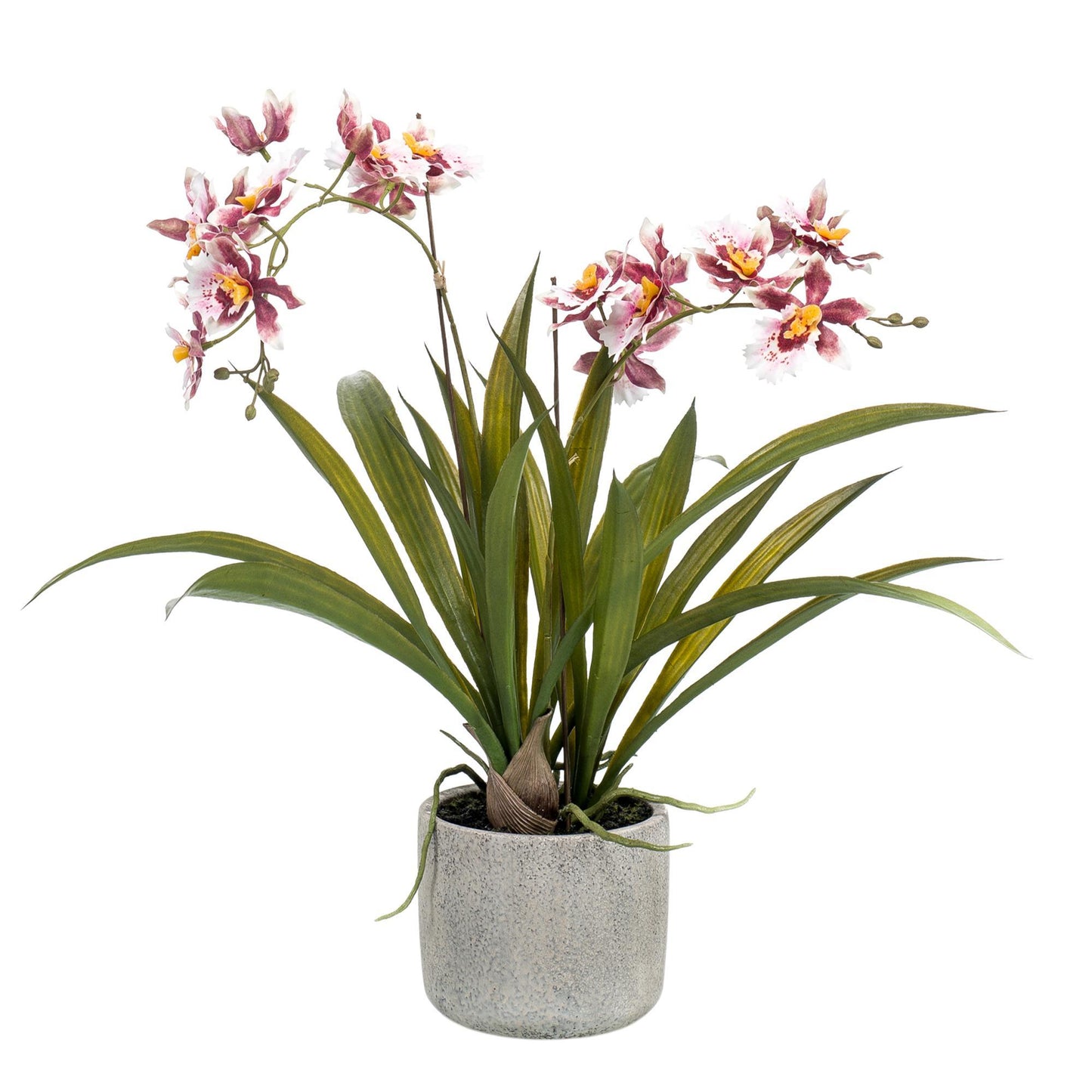 Artificial Orchid Plant   - Bordeaux Red - 45cm