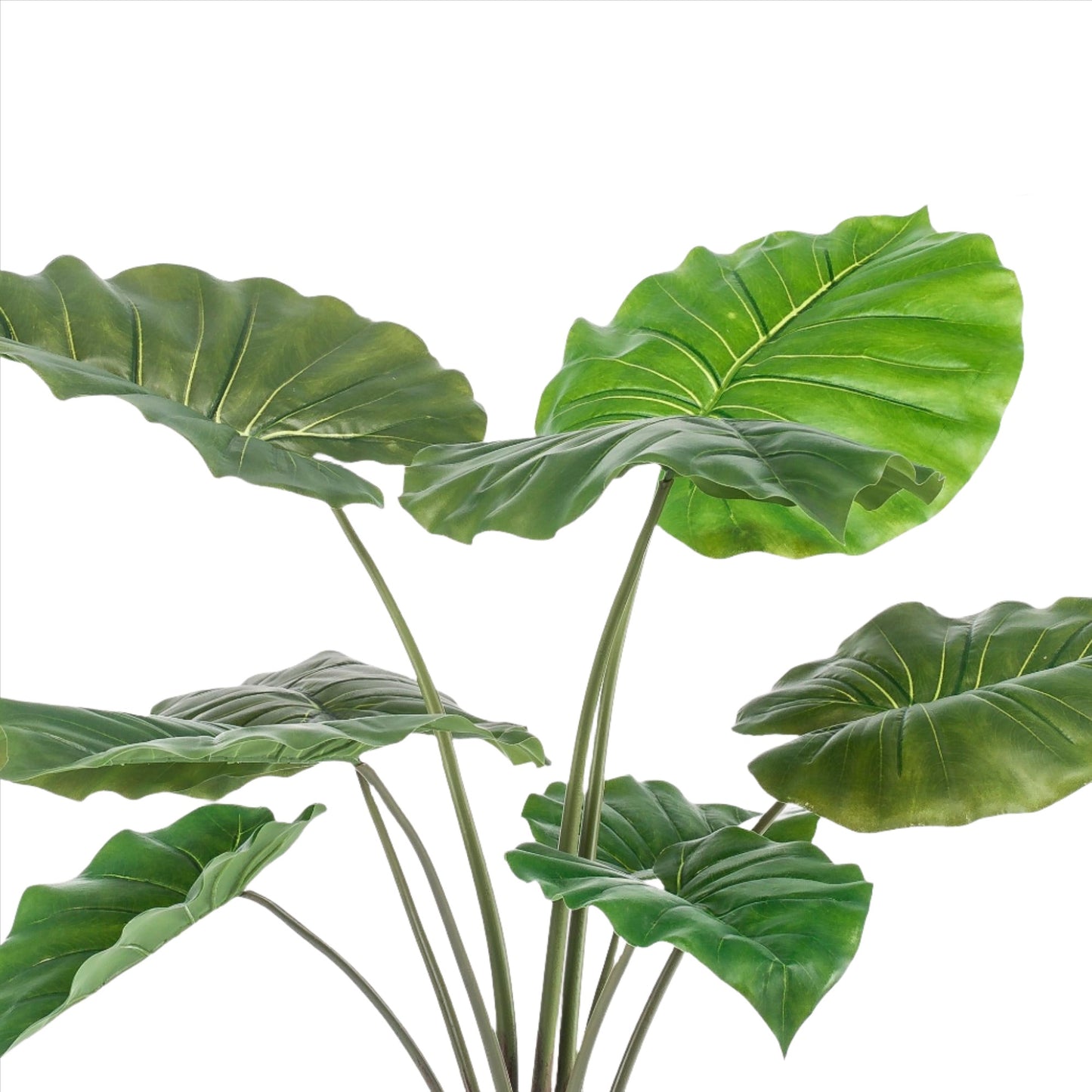 Kunstplant - Alocasia - Olifantenplant - 70 cm