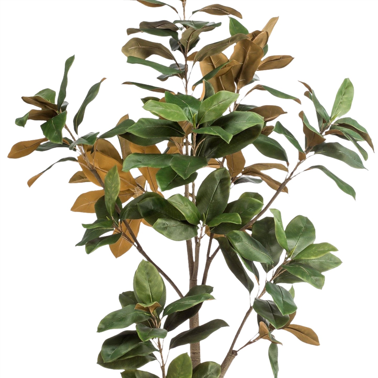 Artificial Tree - Magnolia Grandiflora - 180 cm