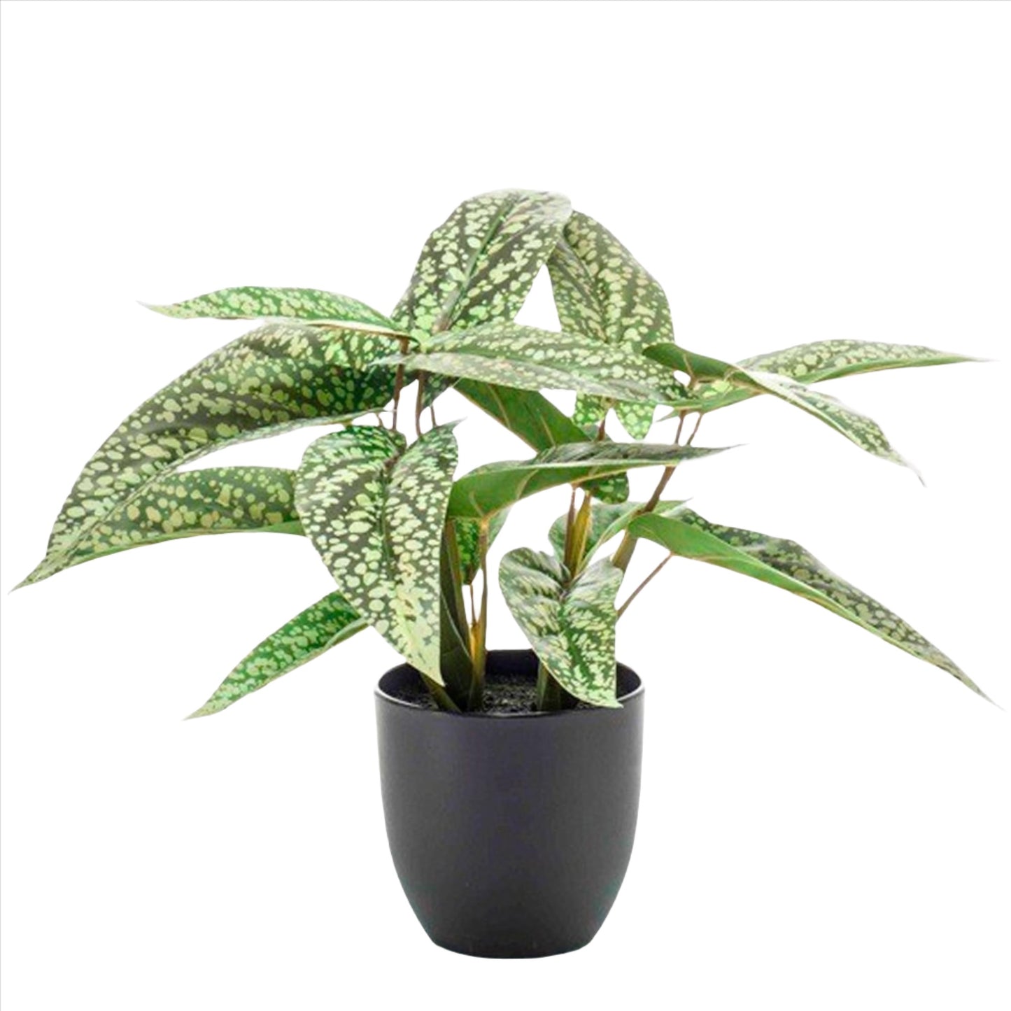 Artificial Plant - Calathea Dots - Schadow Plant - 38 cm