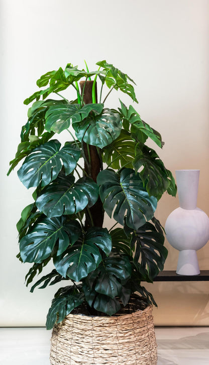 Artificial Plant - Monstera Deliciosa - 150 cm