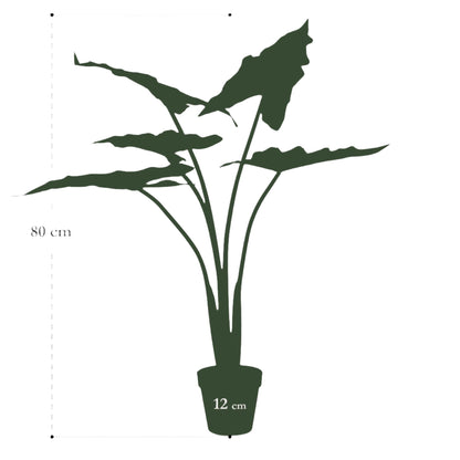 Planta artificial - Alocasia Frydek - Planta oreja de elefante - 80 cm