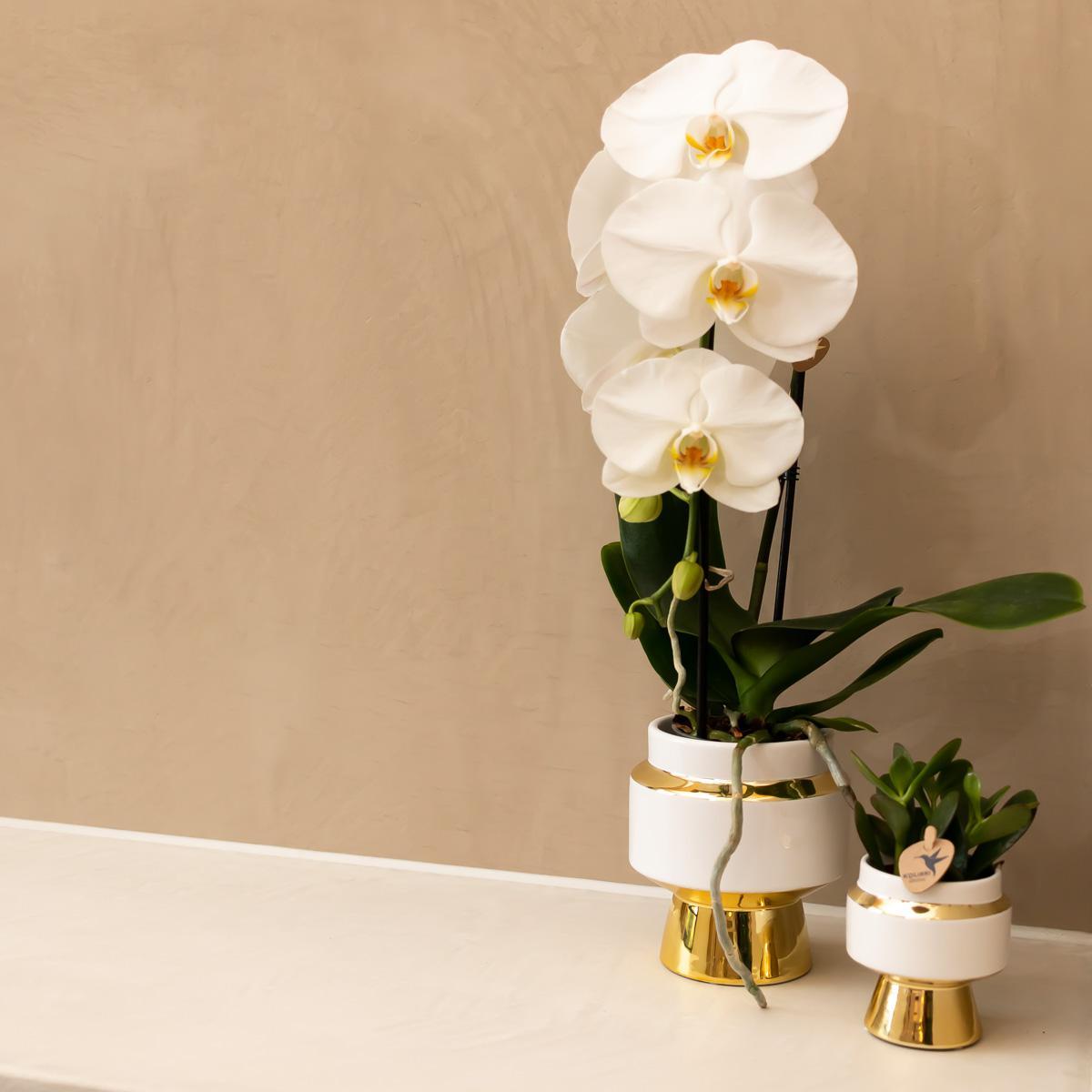 Le Chic Witte Keramische Decoratieve Pot met Gouden Details - Maat 6cm