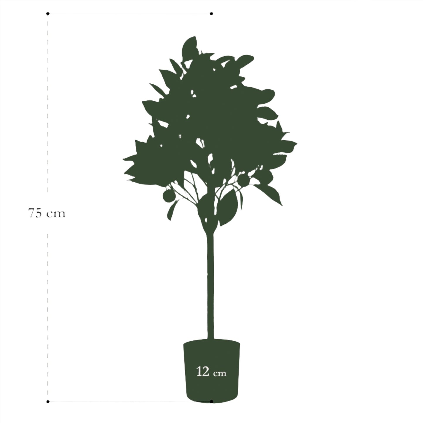 Artificial Tree - Citrus Sinensis - Orange Tree - 75 cm