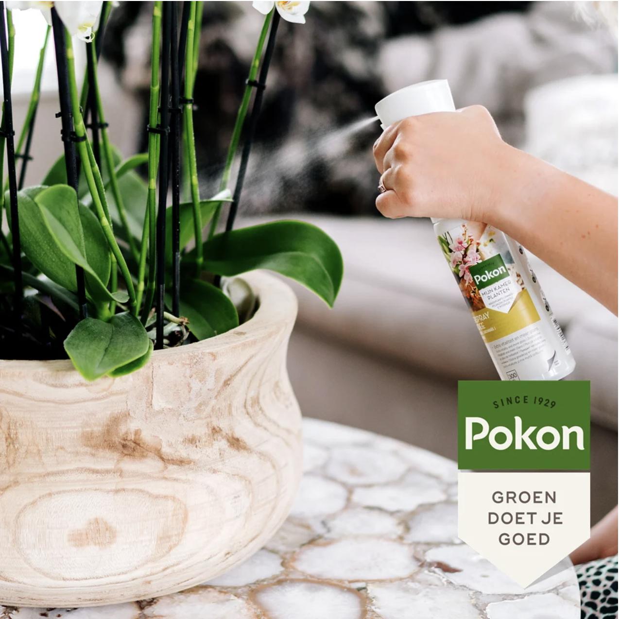 Pokon Powerspray Orchid 300 ml