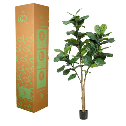 Kunstplant - Ficus Lyrata - Tabaksplant - 180 cm