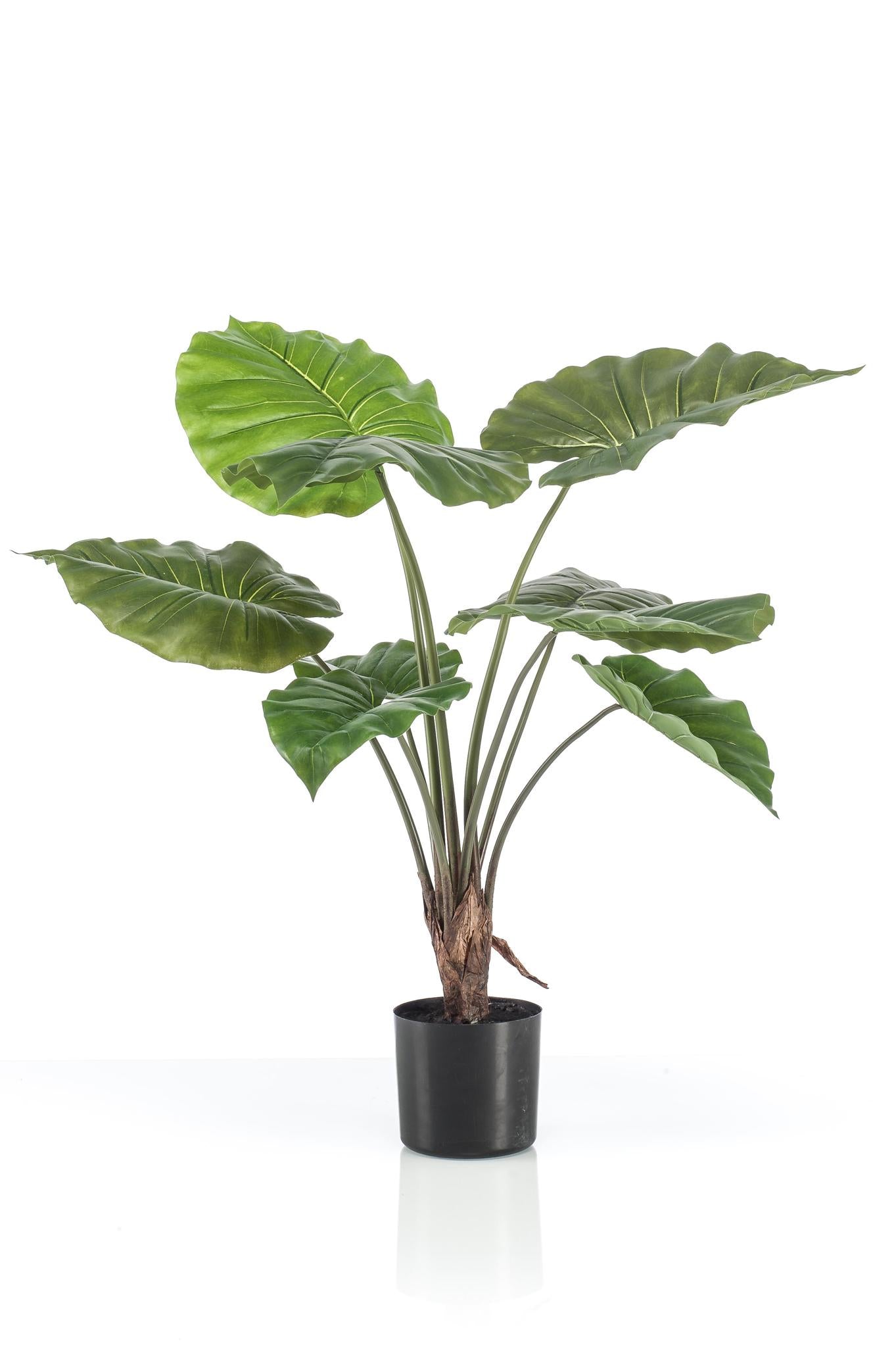 Kunstplant - Alocasia - Olifantenplant - 70 cm