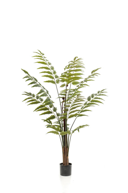 Artificial Plant - Rumohra Adiantiformis - Leather Fern - 150 cm