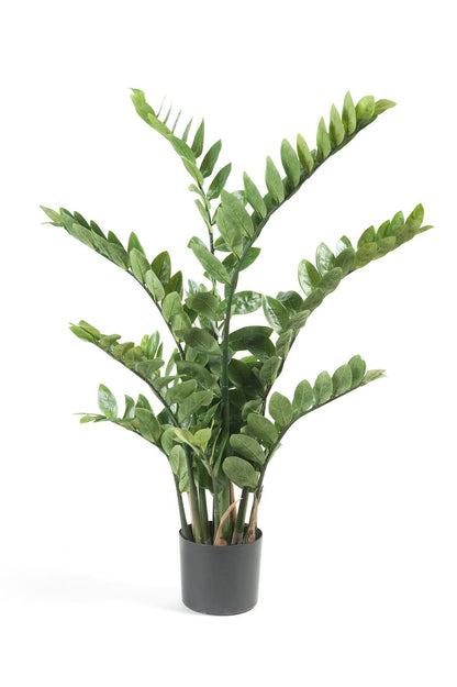 Artificial Plant - Zamioculcas - House Palm - 110 cm