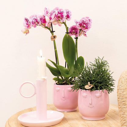 Roze Paarse Orchidee - El Salvador + Happy Face Roze Pot - Potmaat 9cm - Hoogte 35cm