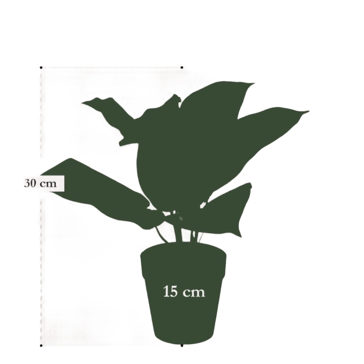 Artificial Plants - Scindapsus Pictus - Lucky plant - 30 cm