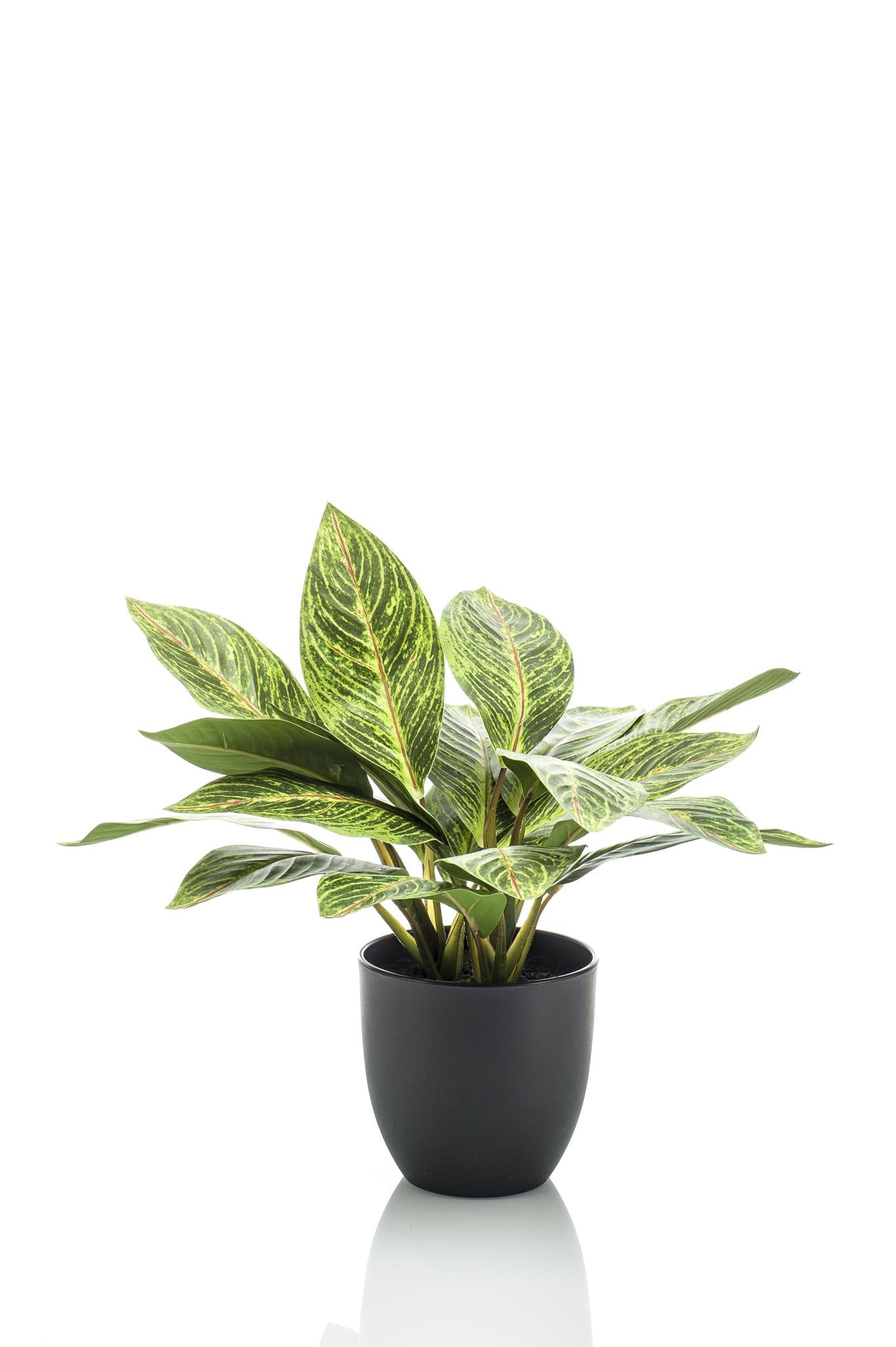 Planta artificial - Croton Codiaeum - Wonder Bush - 38 cm