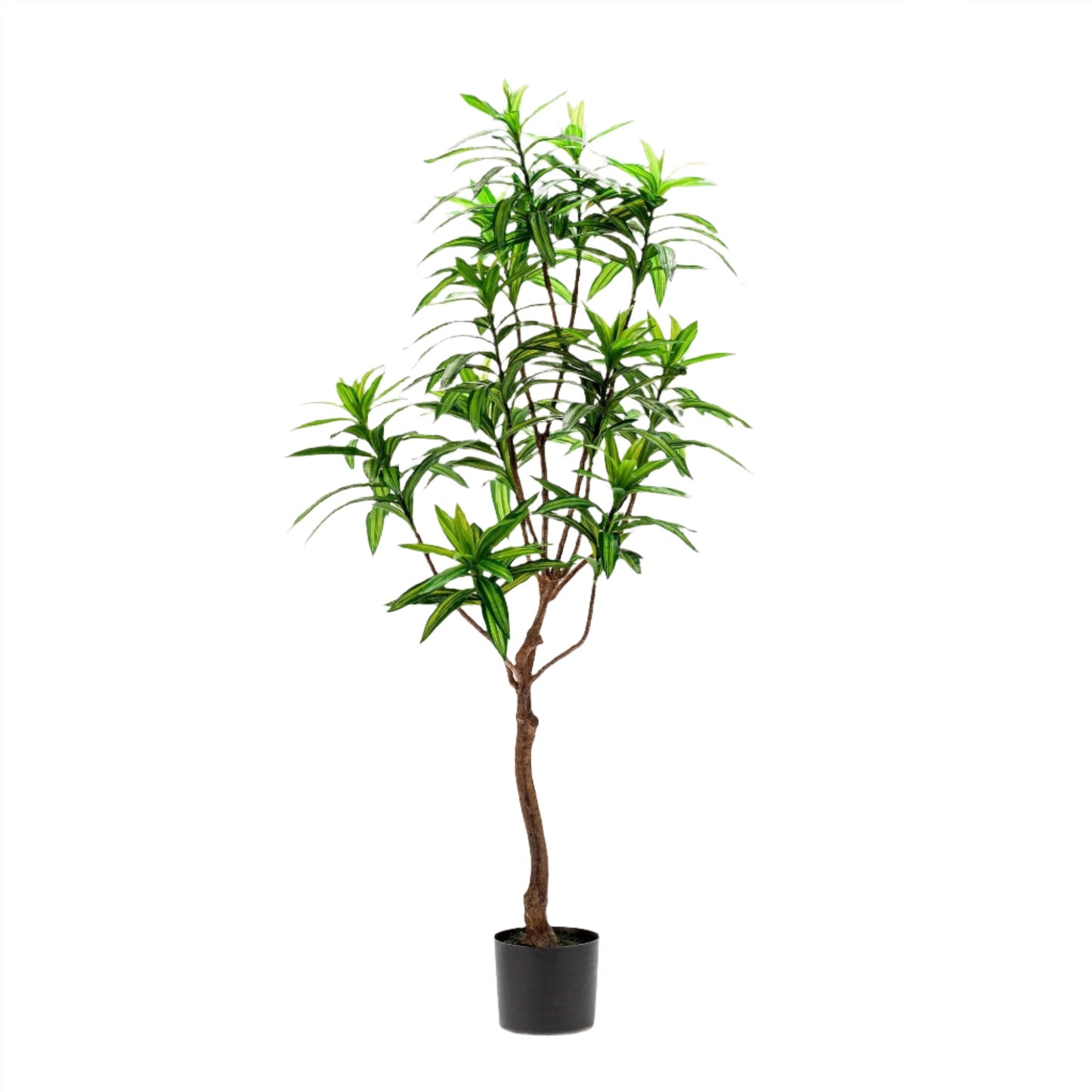 Artificial Tree - Dracaena - Dragon Tree - 130 cm up to 155 cm