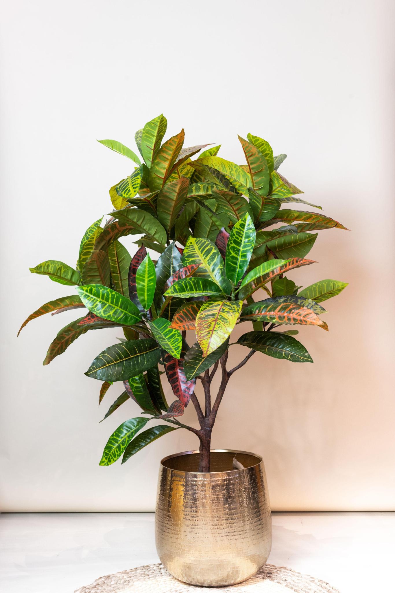 Artificial Plant - Croton Codiaeum - Wonder bush - 120 cm